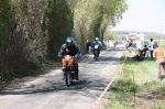 IMG_5234b.JPG